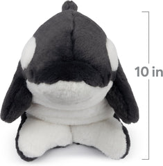 GUND Sprout Sea Turtle Plush, Premium Stuffed Animal for Ages 1 and Up, Green/Brown, 10”